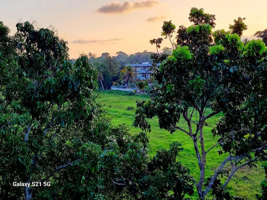 Barefoot Bungalow Hikka Hikkaduwa Luaran gambar