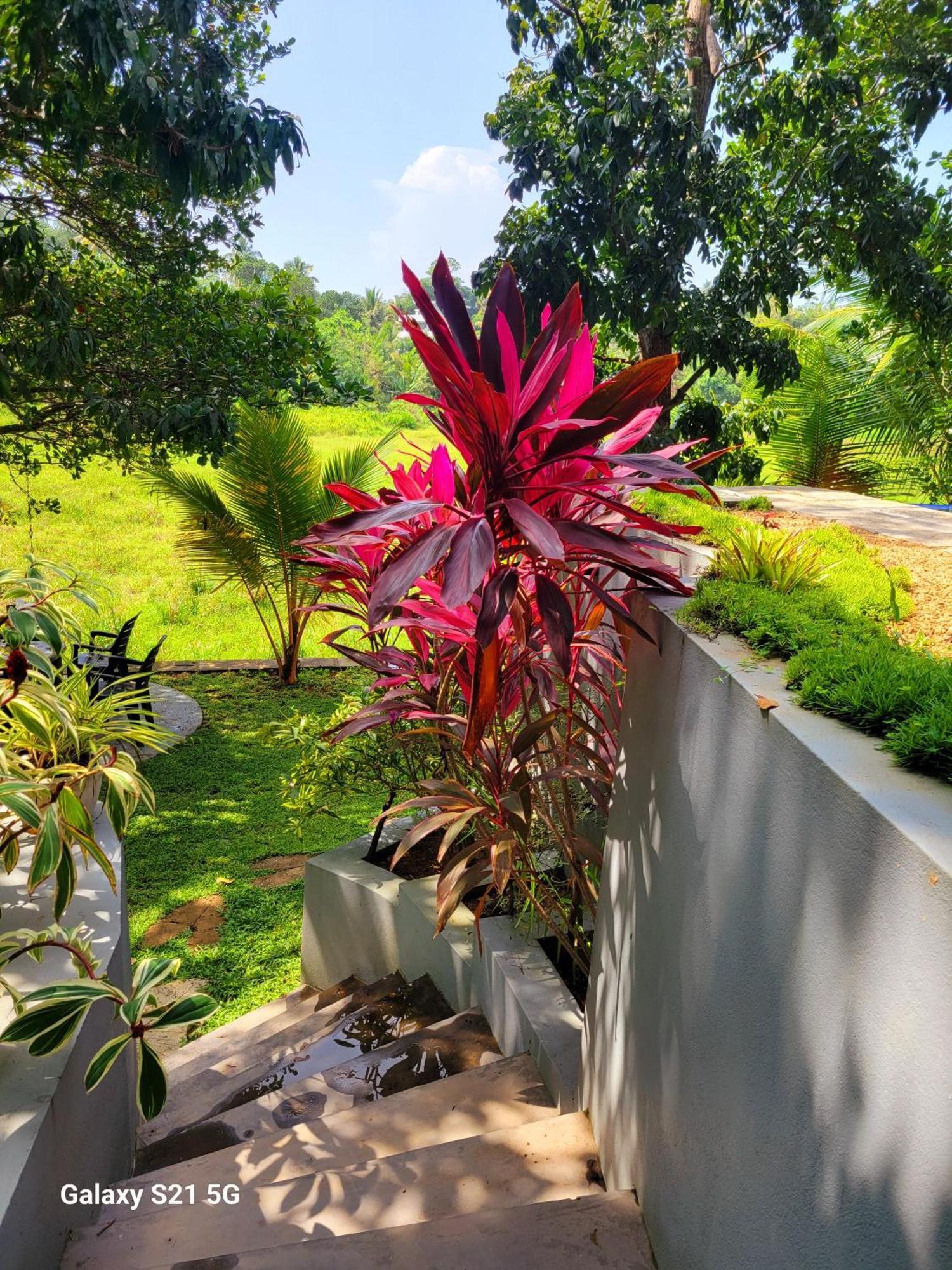 Barefoot Bungalow Hikka Hikkaduwa Luaran gambar