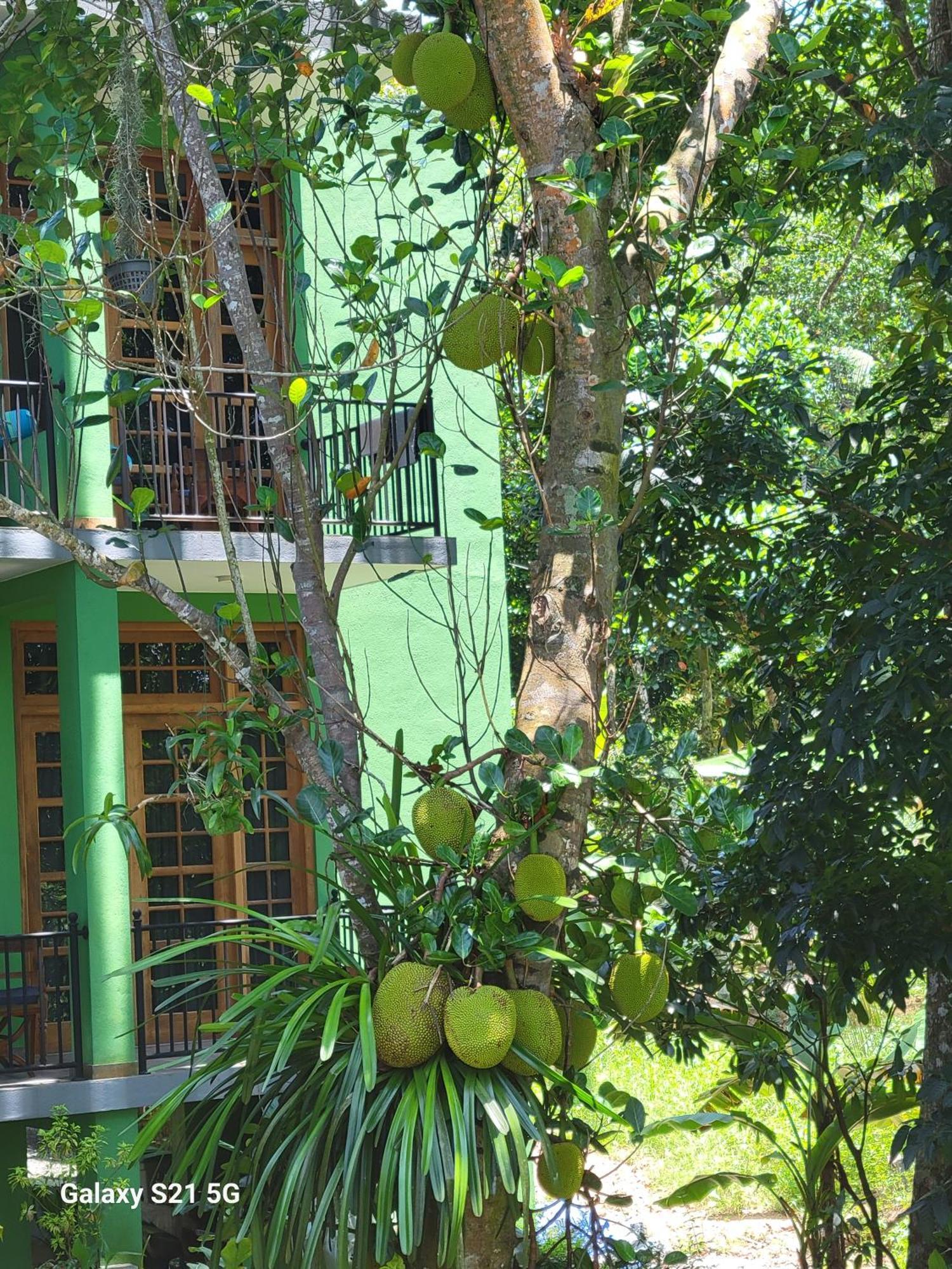 Barefoot Bungalow Hikka Hikkaduwa Luaran gambar