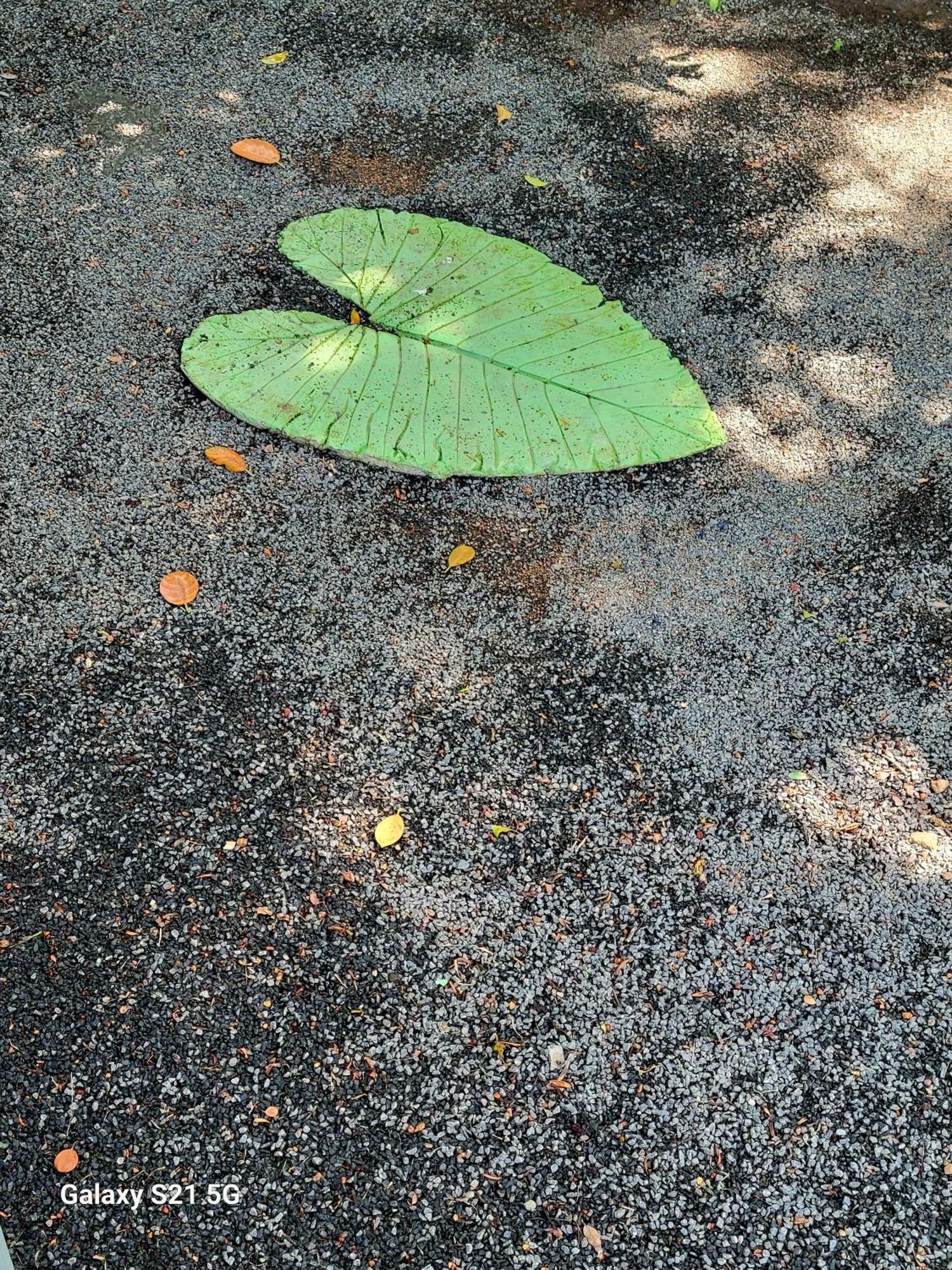 Barefoot Bungalow Hikka Hikkaduwa Luaran gambar