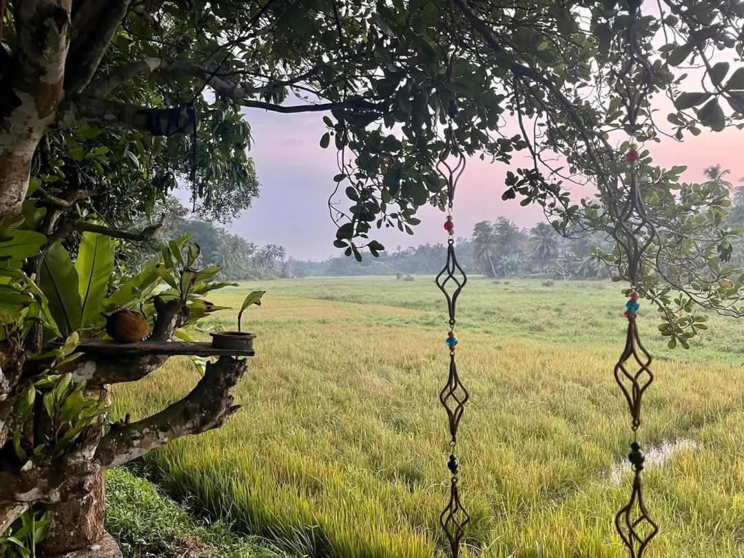 Barefoot Bungalow Hikka Hikkaduwa Luaran gambar
