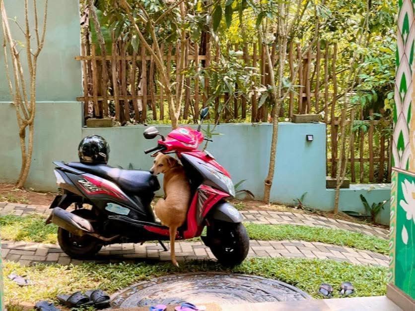 Barefoot Bungalow Hikka Hikkaduwa Luaran gambar